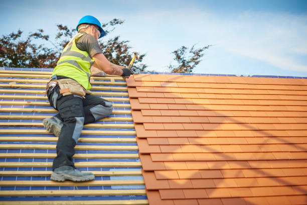 Best Skylight Installation and Repair  in Redington Shores, FL