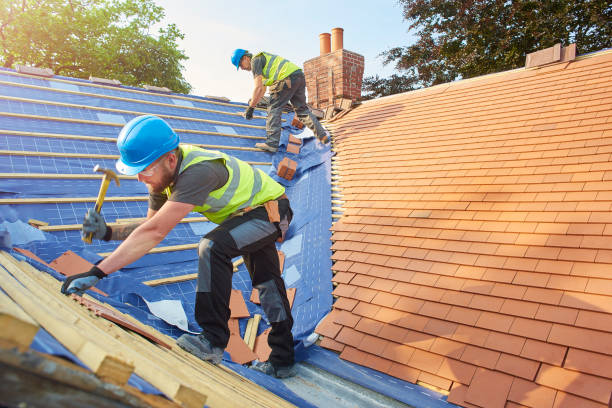 Best Cold Roofs  in Redington Shores, FL